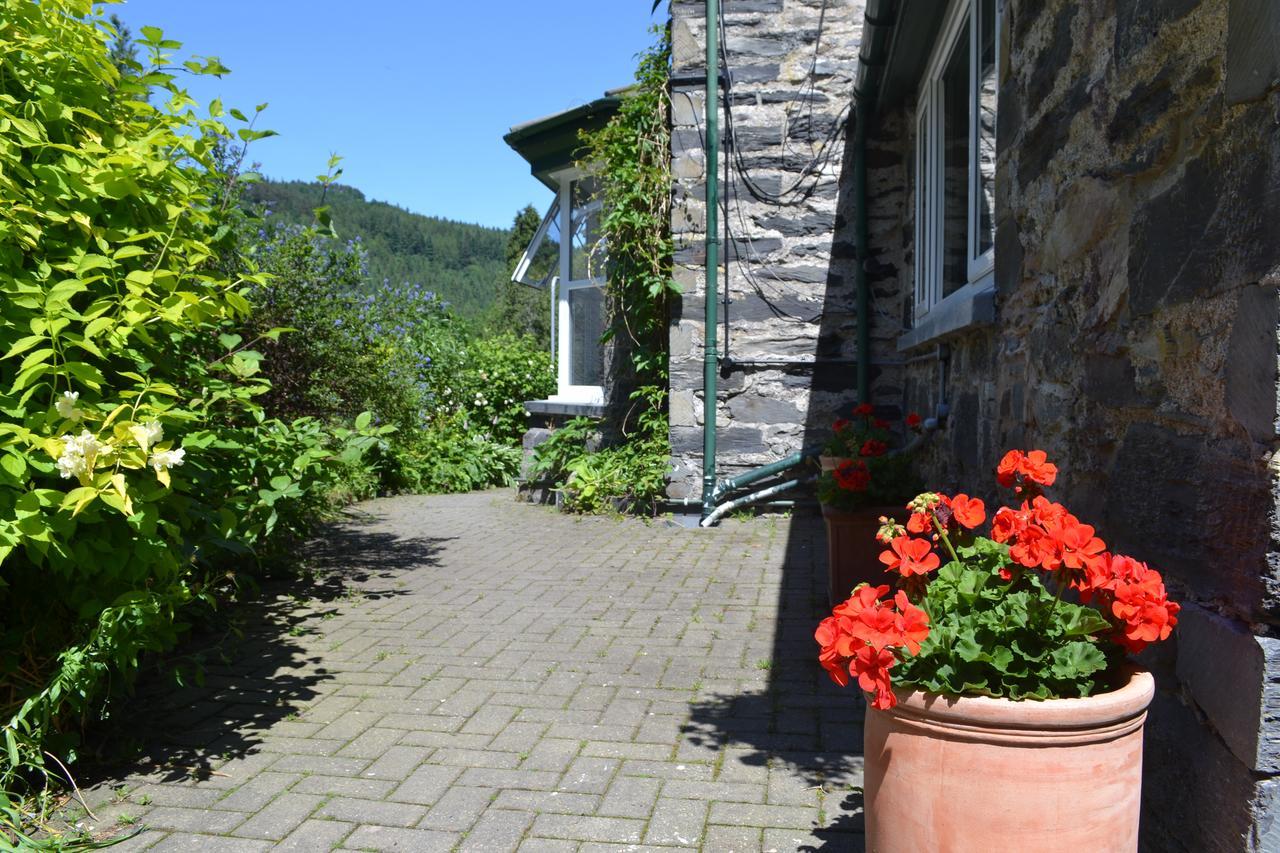 Coed-Y-Fron Bed and Breakfast Betws-y-Coed Εξωτερικό φωτογραφία